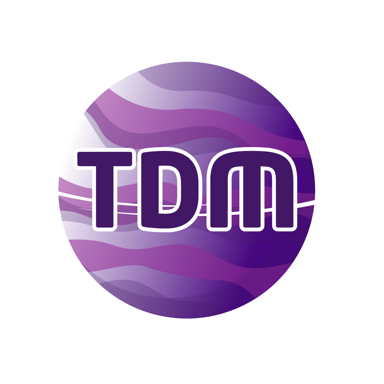 thedigitalmultiverse.com